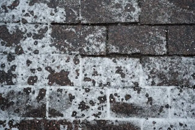 Closeup view of technical salt grains on icy sidewalk surface in wintertime, used for melting ice and snow. Applying salt to keep roads clear and people safe in winter weather from ice or snow