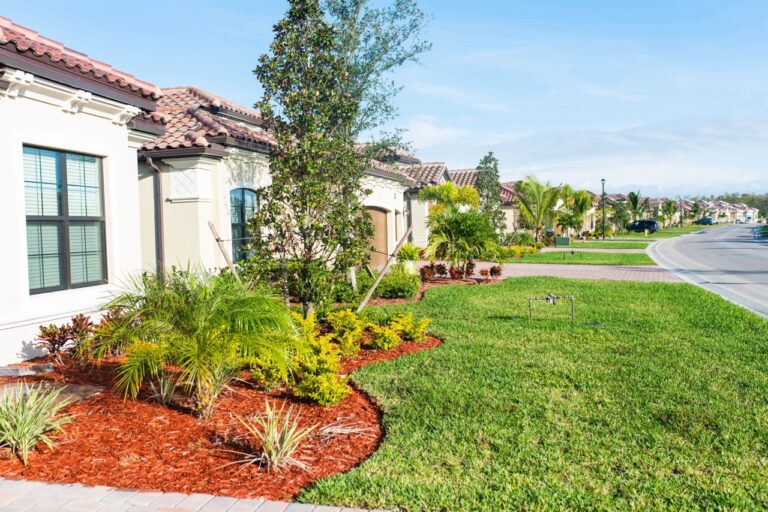 Why Florida Landscaping Mistakes Could Ruin Your Foundation
