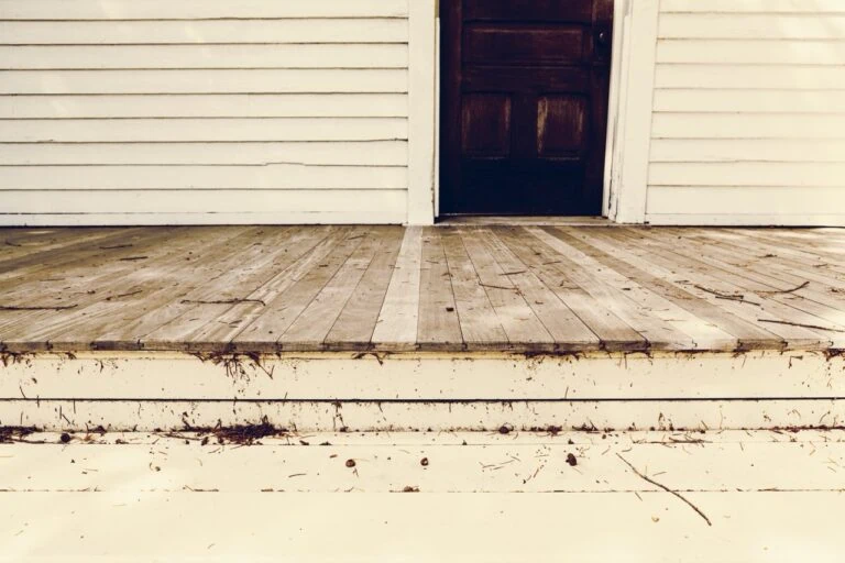house mold