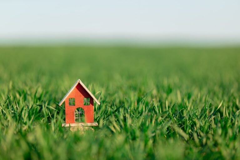 Little woden toy house on green wheat field