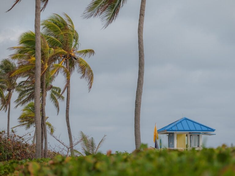 Florida Homeowners’ Guide to Hurricane Preparedness: Essential Tips for Safety in 2024