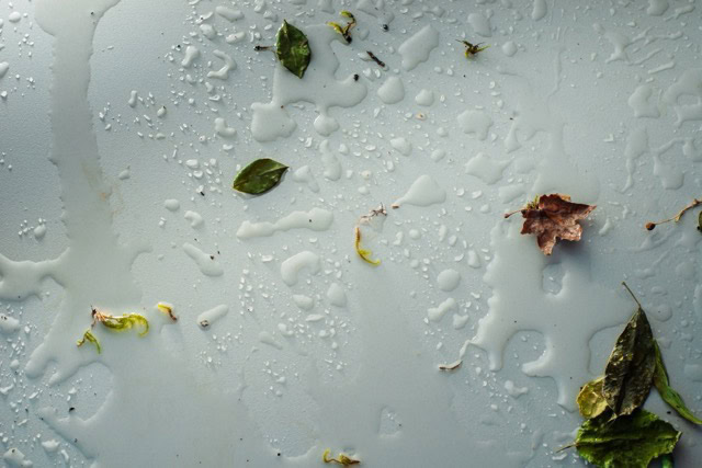 How to know if your home's exterior is trapping moisture