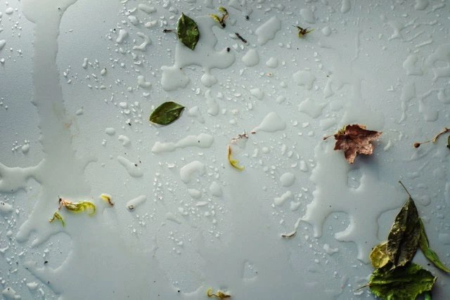 Rain texture on a light stone background, water heder with leaves and earth