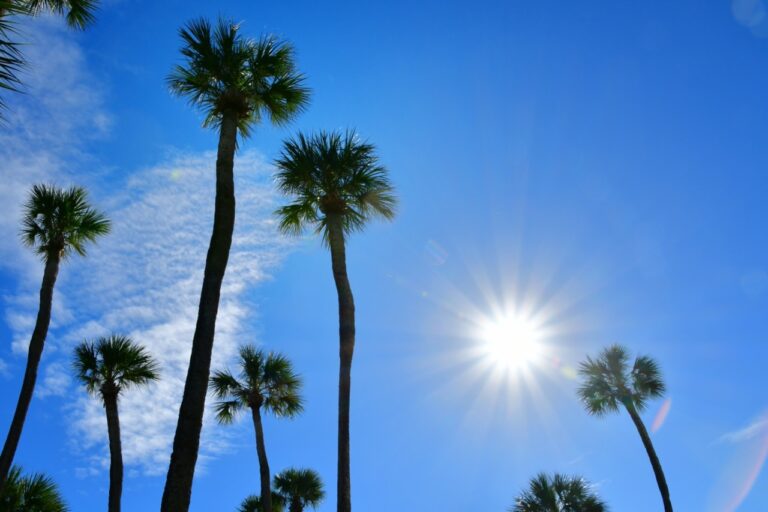 Why Paint Fades in Florida and 3 Easy Ways to Fix It