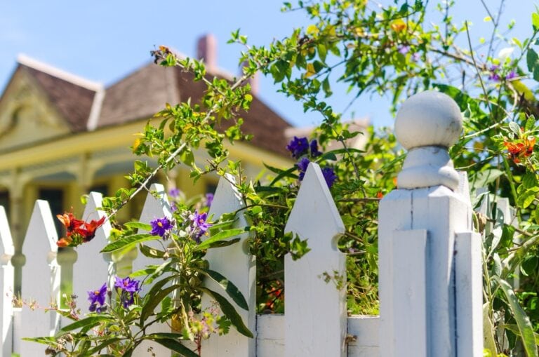 Best Fencing for Florida Yards in 2025 Revealed